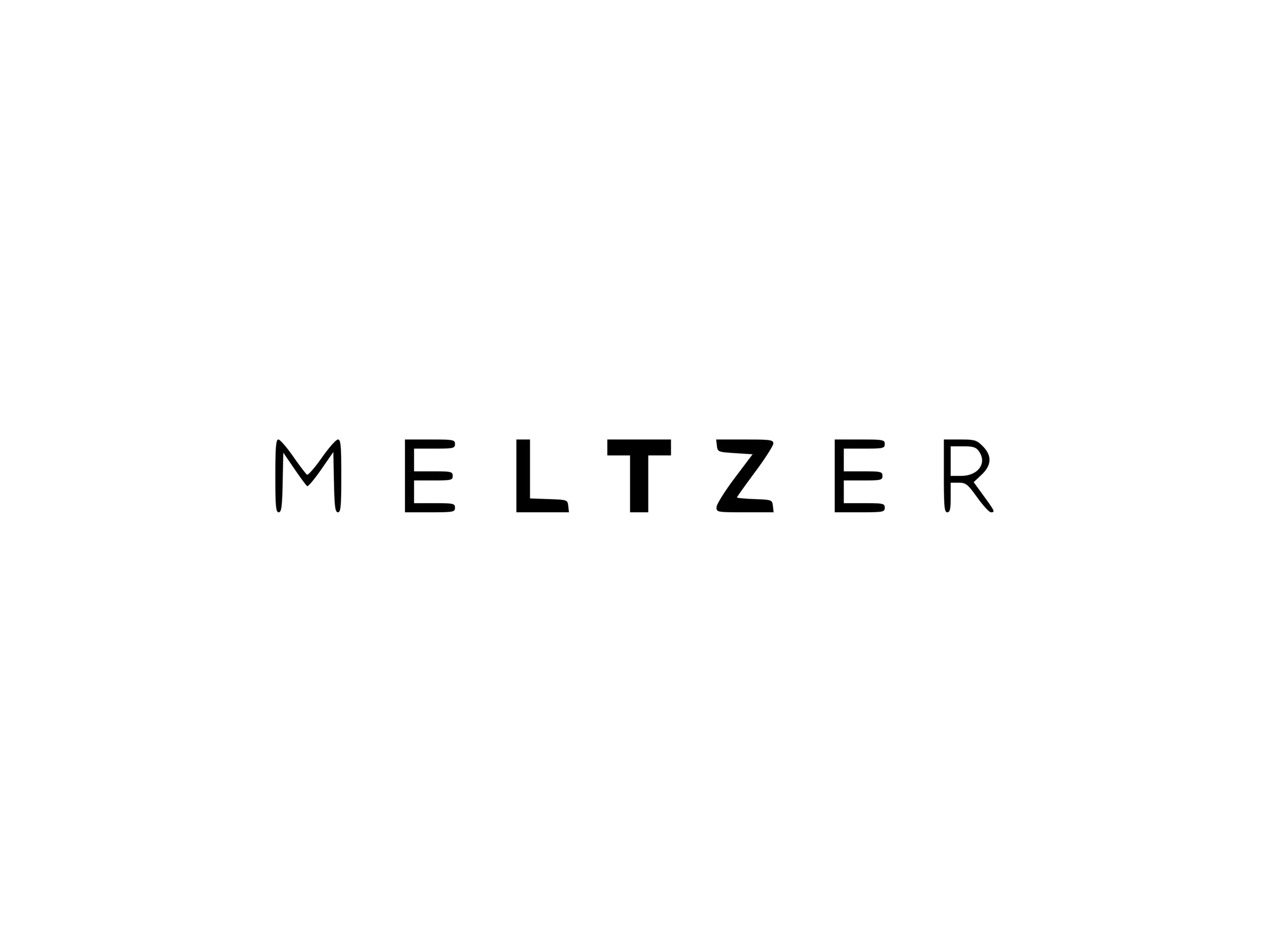 MELTZER GROUP