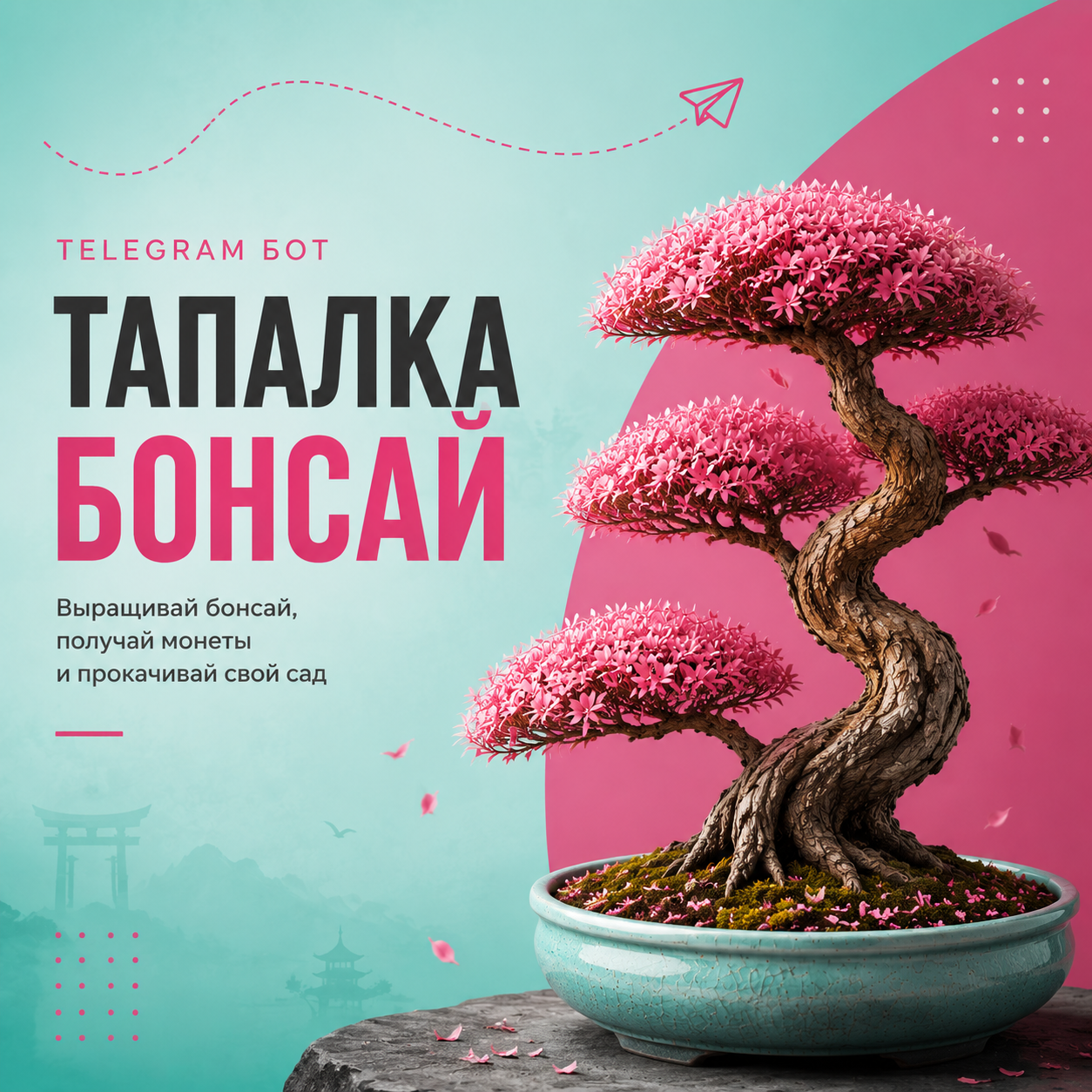 Case